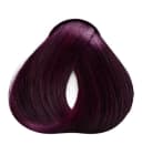 5.20 CASTAÑO CLARO VIOLETA INTENSO